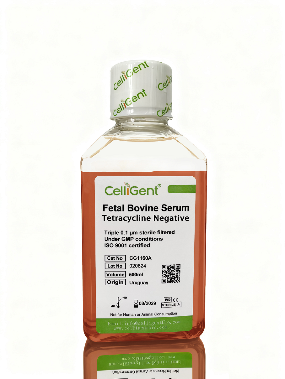 <font color='#333333'>Tetracycline Negative,Fetal Bovine Serum</font>