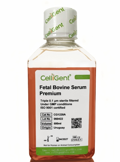 <font color='#333333'>Fetal Bovine Serum Premium (sterile-filtered)</font>