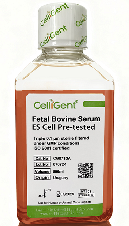 <font color='#333333'>Fetal Bovine Serum, Embryonic Stem Cell Pre-tested</font>