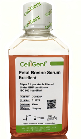 <font color='#333333'>Fetal Bovine Serum Excellent</font>